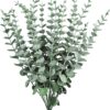 Tekoeukalyptus - Image 5